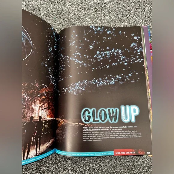 Ripleys believe it or not book - Picture 3 of 4